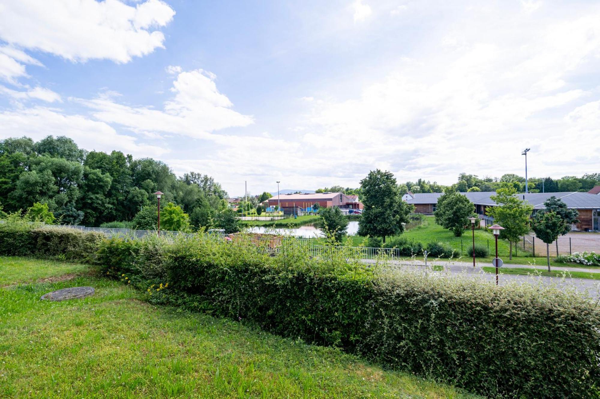 Chez Virgil - Terrasse Vue Degagee, Parking Prive Apartment Ernolsheim-Bruche Exterior foto